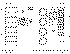 onan-det12.gif (25421 bytes)