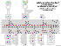 DC-Panel-10223.gif (30608 bytes)