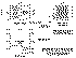 lt-200kw-outdoor-stationary.gif (18808 bytes)