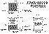 lt-255kw-indoor-port.gif (11110 bytes)