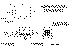 lt-455kw-outdoor-trailerized.gif (15691 bytes)