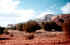 sedona11.jpg (50944 bytes)