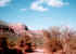 sedona15.jpg (47861 bytes)